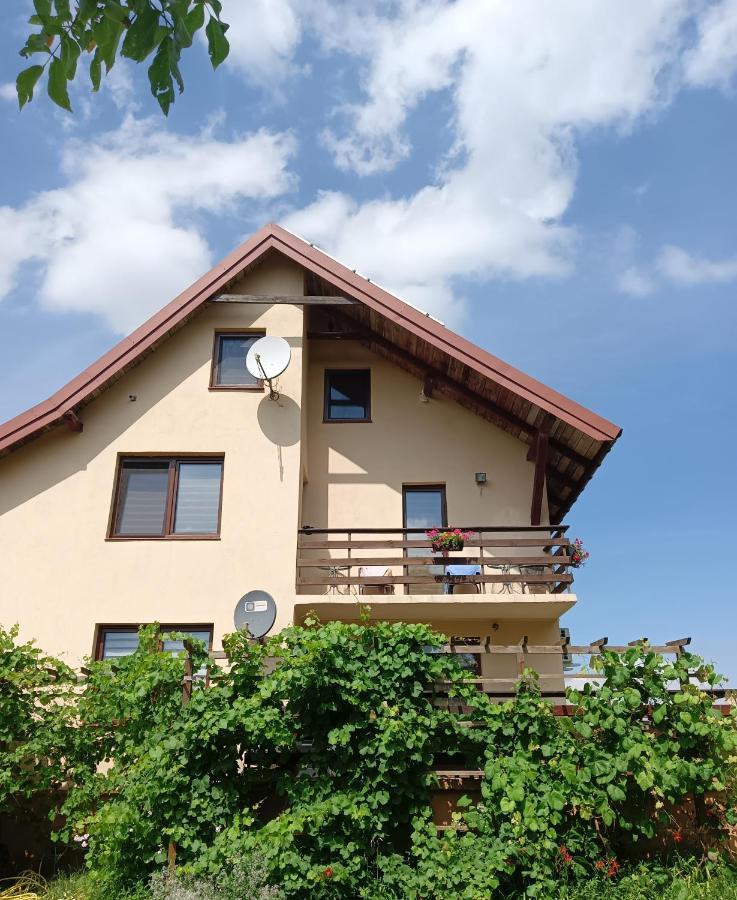 Appartement Wynajem Pokoi Wiki à Mikołajki Extérieur photo